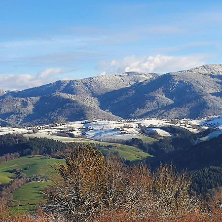 Ferienwohnung Birkental Ebringen المظهر الخارجي الصورة