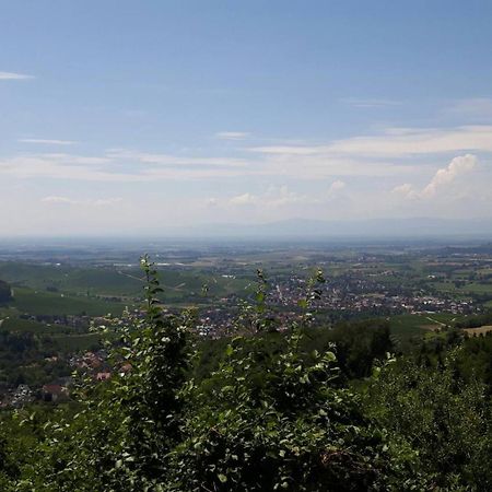 Ferienwohnung Birkental Ebringen المظهر الخارجي الصورة