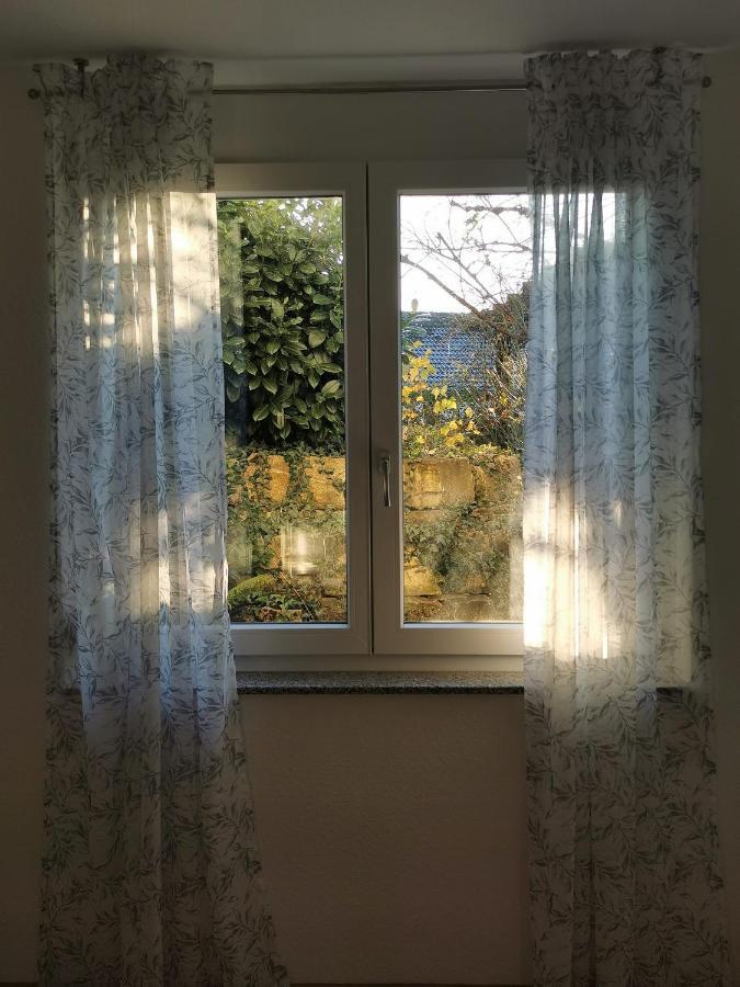 Ferienwohnung Birkental Ebringen المظهر الخارجي الصورة
