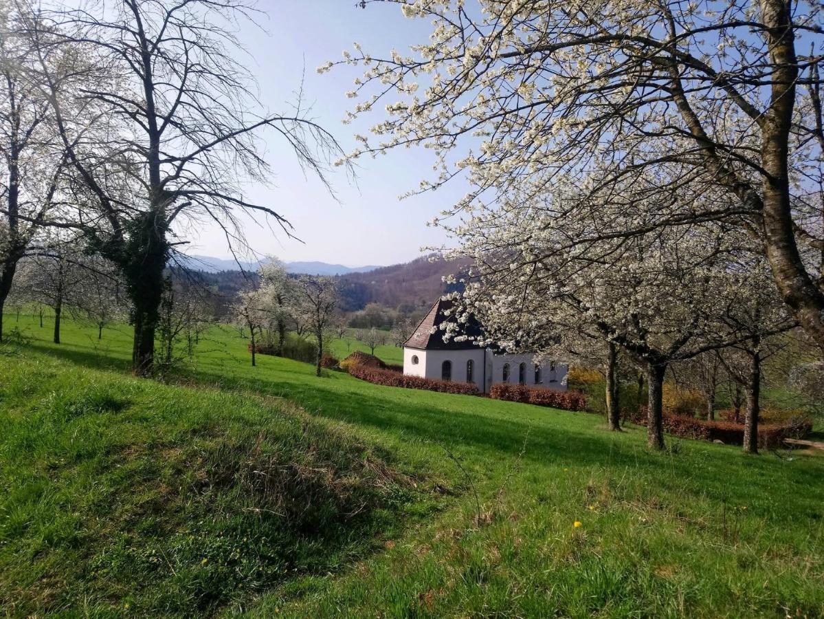 Ferienwohnung Birkental Ebringen المظهر الخارجي الصورة