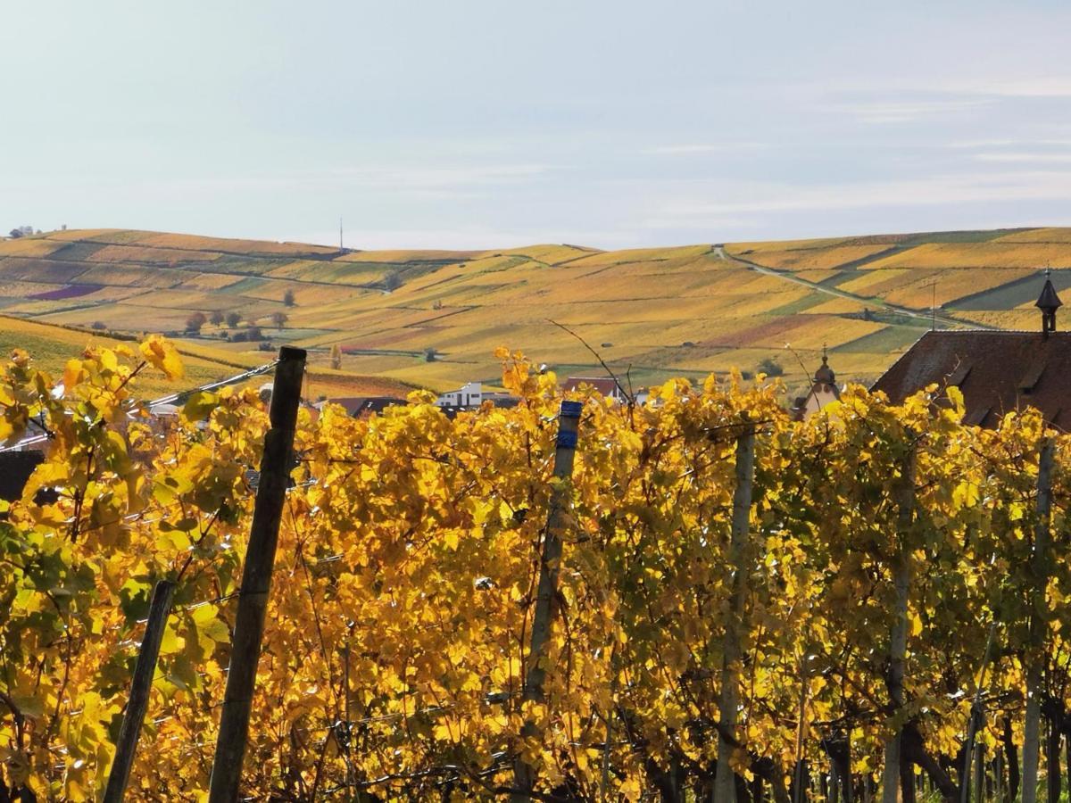 Ferienwohnung Birkental Ebringen المظهر الخارجي الصورة