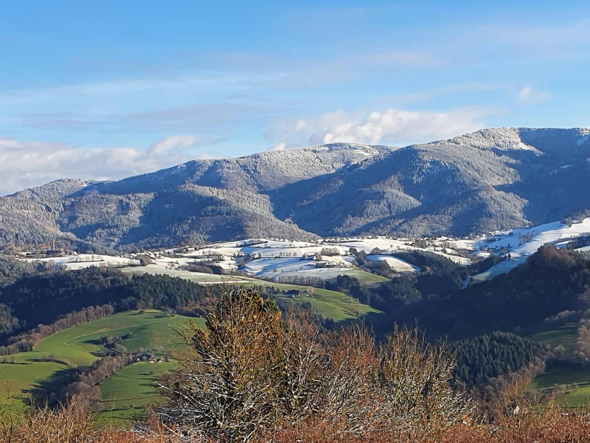 Ferienwohnung Birkental Ebringen المظهر الخارجي الصورة