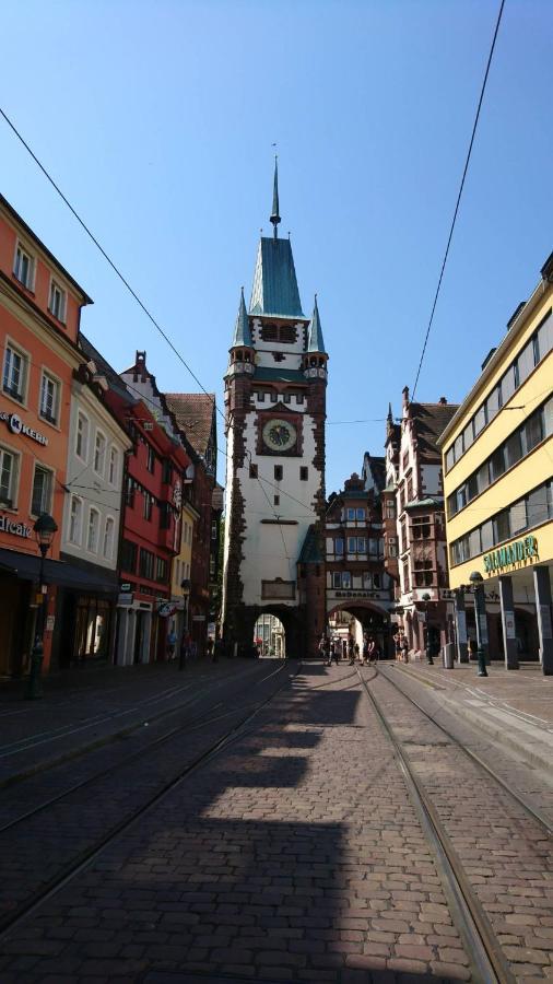 Ferienwohnung Birkental Ebringen المظهر الخارجي الصورة