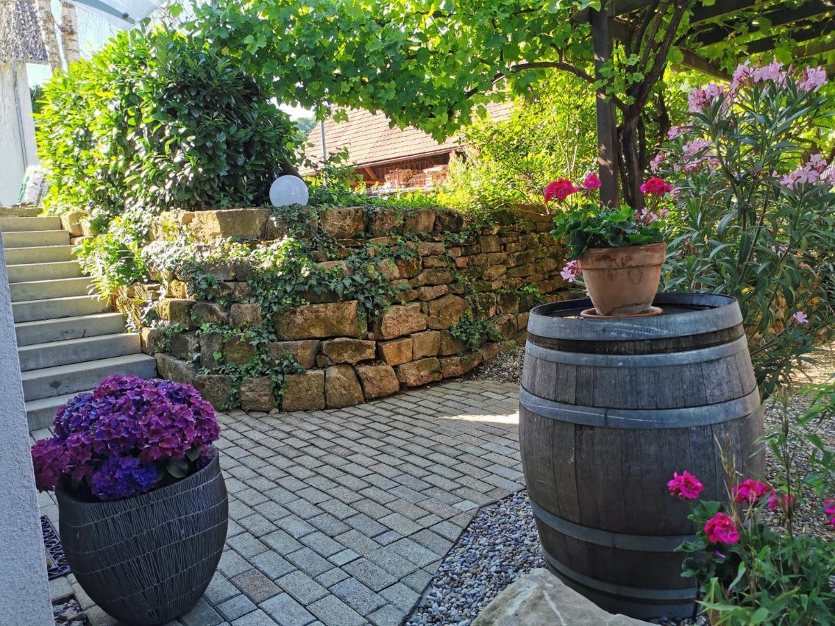 Ferienwohnung Birkental Ebringen المظهر الخارجي الصورة