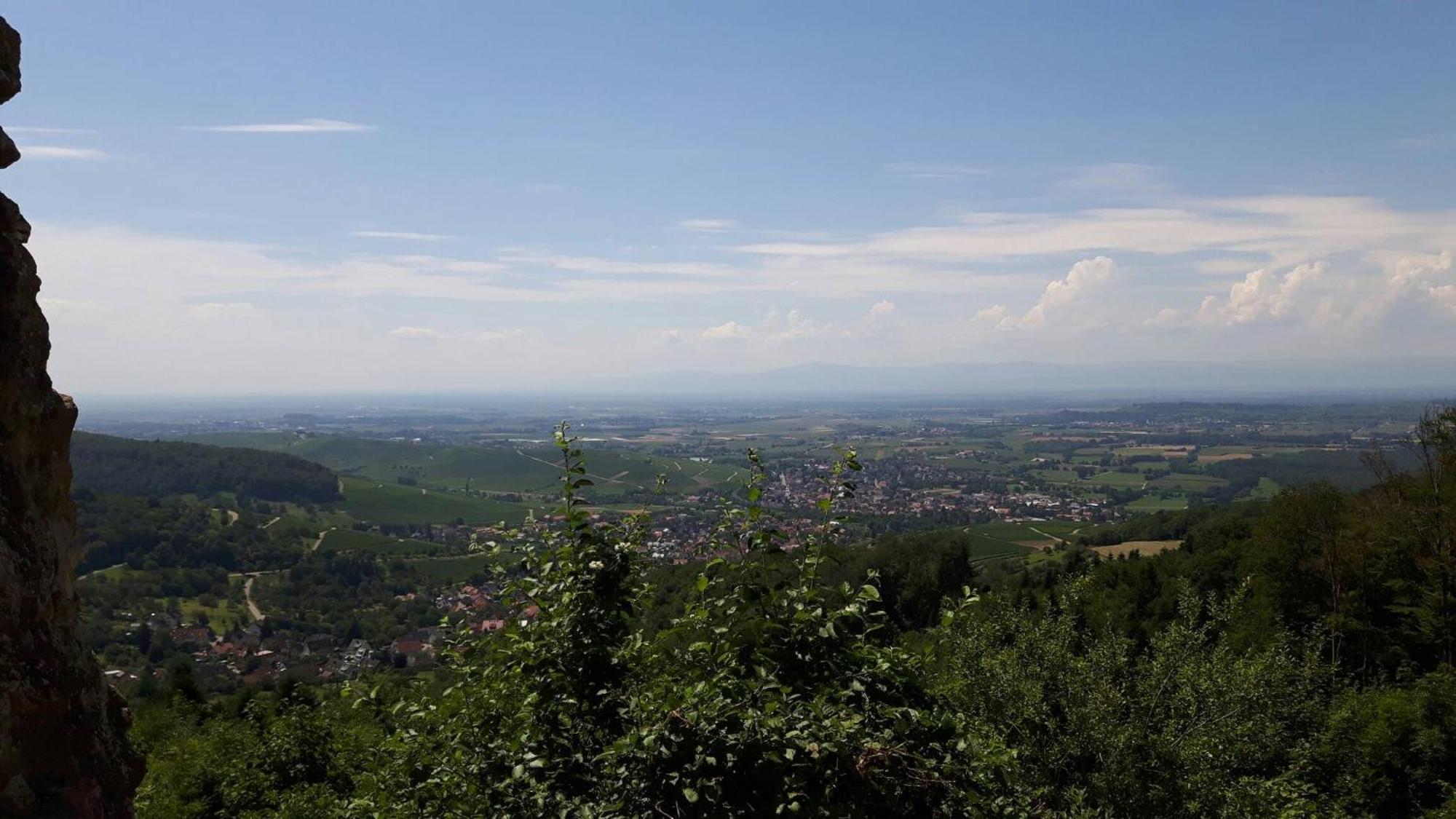 Ferienwohnung Birkental Ebringen المظهر الخارجي الصورة