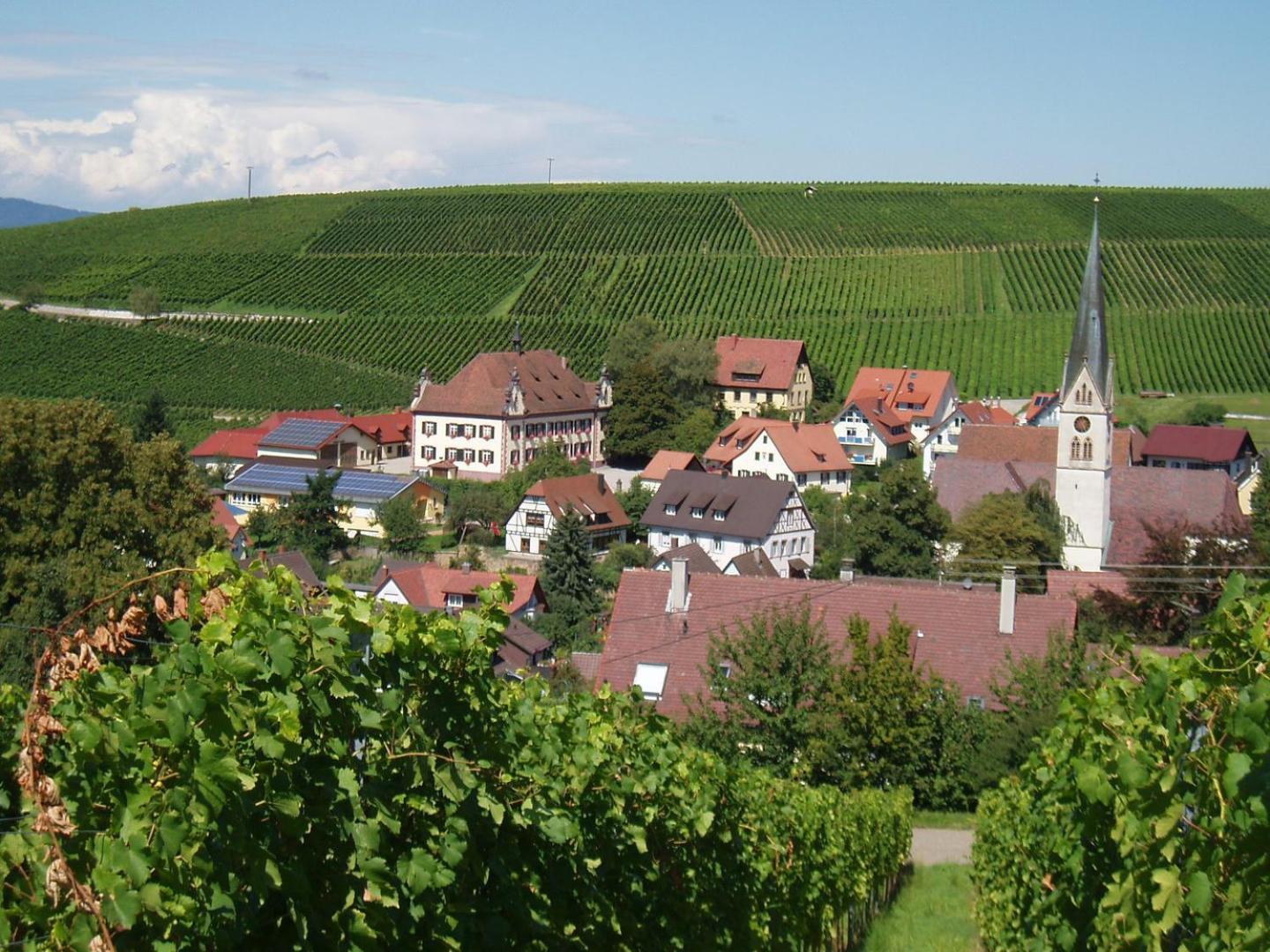 Ferienwohnung Birkental Ebringen المظهر الخارجي الصورة